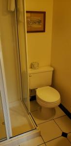 a bathroom with a toilet and a shower at Canyon Motel in Hot Sulphur Springs