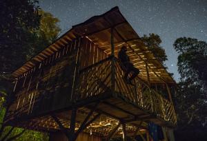 Um homem está de pé no topo de uma casa na árvore à noite. em Rumi Wilco Ecolodge & Nature Reserve-Cabañas & Camping em Vilcabamba