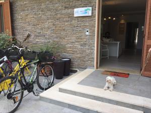 a white dog on a leash sitting on the steps of a house at Arli Hotel Hideaway Punta Ala - Adults Only in Punta Ala