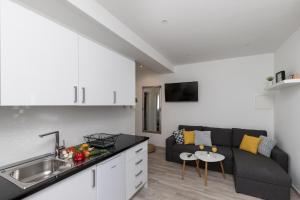 Kuchyň nebo kuchyňský kout v ubytování Apartments Siblings