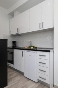 Kuchyň nebo kuchyňský kout v ubytování Apartments Siblings