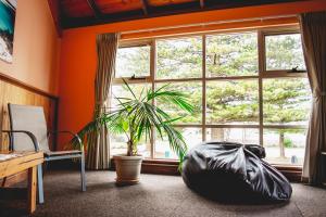 a room with a plant and a large window at Esperance Foreshore Apartments in Esperance