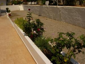 un jardin avec des fleurs et des plantes à côté d'un mur dans l'établissement Maria Apartments, à Pefki