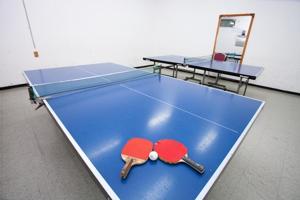 a ping pong table with two ping pong balls on it at Jiri Mountain Ilsung Condo in Namwon
