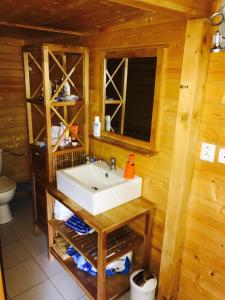 een badkamer met een wastafel in een blokhut bij Summer lake in Chotilsko