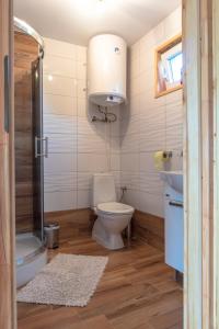 a bathroom with a toilet and a sink and a shower at BIAŁY DOMEK in Ryn