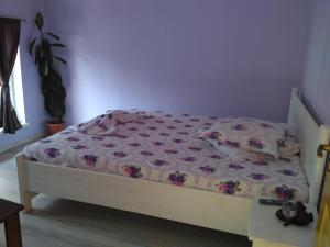 a bed in a bedroom with a purple wall at Casa Teo in Ocna Sibiului +13 photos