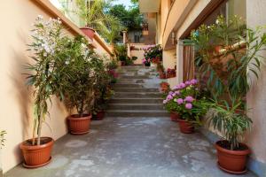 Fotografie z fotogalerie ubytování Hotel Orchidea v destinaci Sozopol