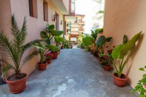 Fotografie z fotogalerie ubytování Hotel Orchidea v destinaci Sozopol