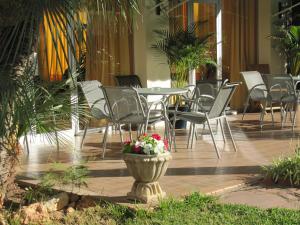 Zahrada ubytování Hotel Tramontana