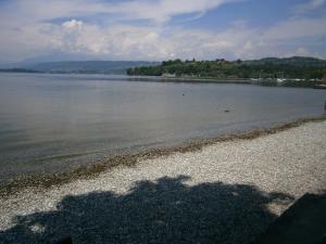 Gallery image of campeggio internazionale del sole in Viverone +26 photos