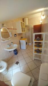 łazienka z toaletą i umywalką w obiekcie Guest House Ilic w mieście Loborika