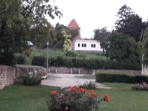 Zahrada ubytování Fényes Vinorium
