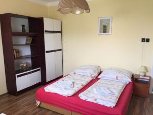 a bedroom with a bed and a book shelf at Éva Apartman in Bük