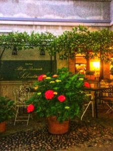 Aed väljaspool majutusasutust Albergo & Ristorante Selvatico