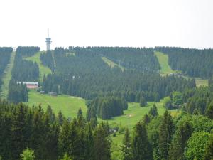 Príroda v okolí horskej chaty