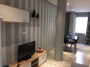 Telewizja i/lub zestaw kina domowego w obiekcie Apartamentos El Vestuario
