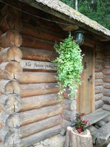 una cabaña de madera con una planta a un lado en Ala Juusa Holiday Home, en Ihamaru