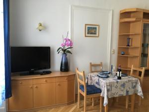 Televízia a/alebo spoločenská miestnosť v ubytovaní Apartment Vienna 55