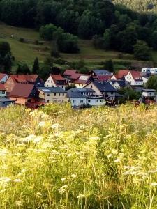 a town in a field of tall grass at Gasthaus&Pension "Grünes Herz" in Unterschönau