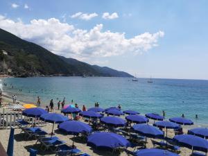 a beach with blue umbrellas and people on the beach at Albamare in Monterosso al Mare