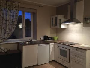 eine kleine Küche mit Spüle und Fenster in der Unterkunft Apartaments Selga in Roja + 8 Fotos