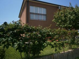 una casa con un montón de arbustos delante de ella en Apartman Boki, en Trebinje