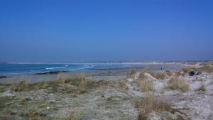 a beach with sand and grass and the ocean at les volets bleus in Saint-Guénolé