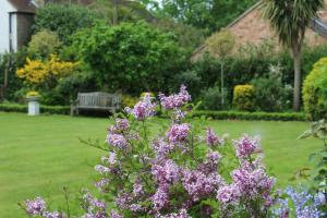 Jardín al aire libre en Ditton Lodge