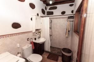 a bathroom with a toilet and a shower at Casa Rural La Casa Baja in Santa Lucía +16 photos