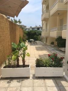 a patio with two plants in white pots next to a building at Manias Apartments in Kos