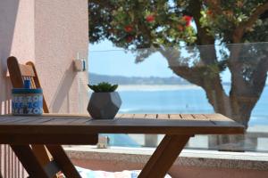 une table en bois avec une plante en pot assise au-dessus dans l'établissement Hostel D'Avenida, à Vila Praia de Âncora