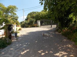 Fotografia z galérie ubytovania Haus Božica v destinácii Krk