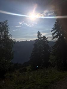 Příroda nedaleko apartmánu