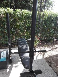 Zahrada ubytování Civico 22 Pisa