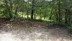 un camino de tierra en una zona boscosa con árboles en Turner Falls Park Villa en Davis