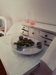 un tavolo bianco con una ciotola di piante grasse sopra di Appartamenti Mori a Belluno