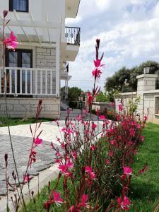 A garden outside Ersin Konak