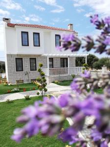 A garden outside Ersin Konak