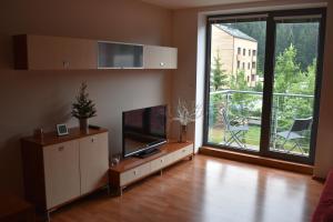 Televízia a/alebo spoločenská miestnosť v ubytovaní Apartment Mumlava falls