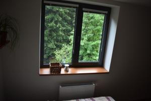 Fotografia z galérie ubytovania Apartment Mumlava falls v destinácii Harrachov