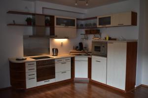 Kuchyňa alebo kuchynka v ubytovaní Apartment Mumlava falls