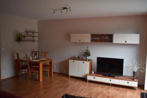 Televízia a/alebo spoločenská miestnosť v ubytovaní Apartment Mumlava falls