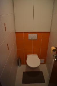 Kúpeľňa v ubytovaní Apartment Mumlava falls