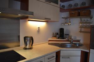 Kuchyňa alebo kuchynka v ubytovaní Apartment Mumlava falls