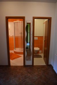 Kúpeľňa v ubytovaní Apartment Mumlava falls + 19 fotografií