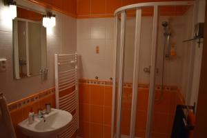 Kúpeľňa v ubytovaní Apartment Mumlava falls
