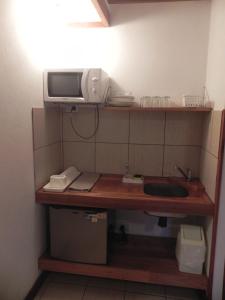 a kitchen with a sink and a microwave on a shelf at Mirando al Sur in San Carlos de Bariloche