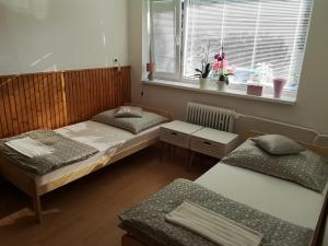 2 camas individuales en una habitación con ventana en Ubytovanie v súkromí na Liptove en Liptovský Ján