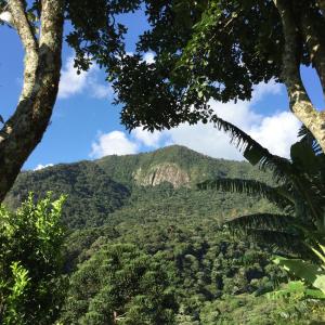 vistas a una montaña con árboles en el primer plano en Abrigo da Reserva, en Santo Antônio do Pinhal